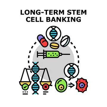 Long term stem cell banking medical research concept Stock Illustration