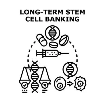 Long term stem cell banking medical research concept Stock Illustration