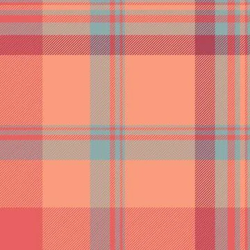 Long texture textile check, veil fabric tartan background. Multicultural ve.. Stock Illustration