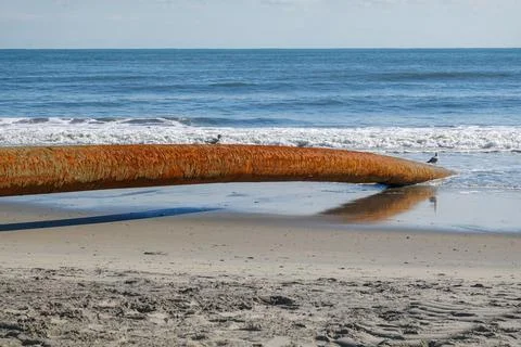 Long thick rusty pipe running along wet beach sand and entering the ground Stock Photos