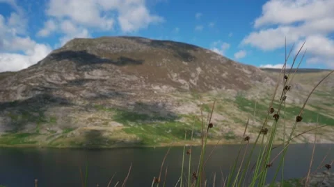 Long thin grass background shot of a mountain 库存影片 164109564