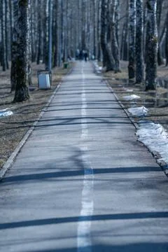 Long tree lined avenue in spring, patches of thawing snow along edges, benche 스톡 사진