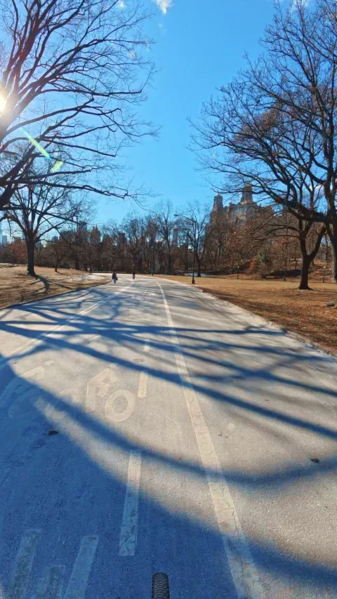 Long tree shadows on paved road in Central Park New York. Paved loop road in Stock Footage 333578589