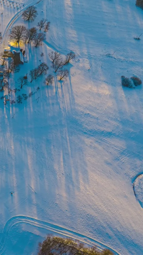 Long Tree Shadows Stretch Across Snowy Farmland at Sunset Vidéo 335354846