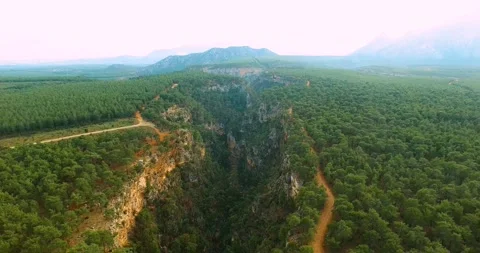 Long Valley Inside Pine Forest Aerial Shot at Sunset Stock Footage 147067080