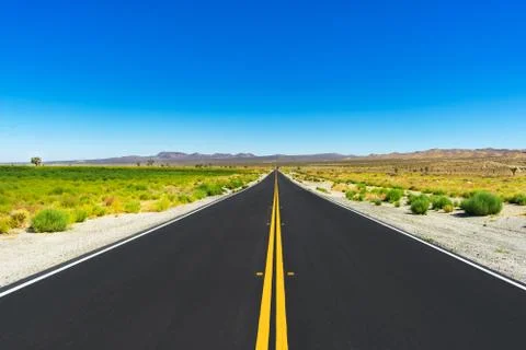 Long varnishing point road in the Mojave Desert Stock Photos