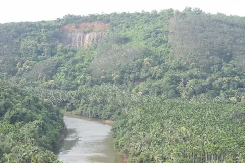 Long view of greenery with river Foto stock