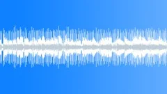 The Long View LoopStock Music