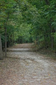 The Long Walk Stock Photos