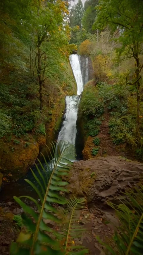 Long waterfall in the forest Stock Footage 274273396