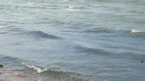 Long waves roll on the coast 库存影片 321744512