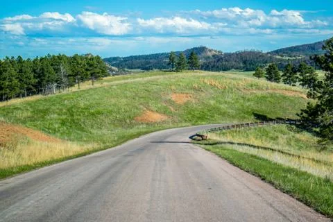 A long way down the road of Custer State Park, South Dakota Stock Photos