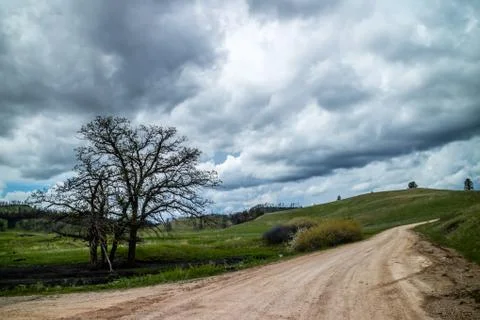 A long way down the road of Custer State Park, South Dakota Stock Photos