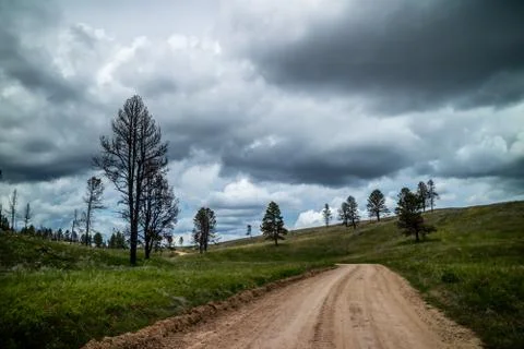 A long way down the road of Custer State Park, South Dakota Stock Photos