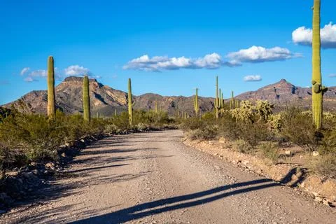 A long way down the road going to Organ Pipe Cactus NM, Arizona Stock Photos