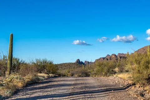 A long way down the road going to Organ Pipe Cactus NM, Arizona Stock Photos