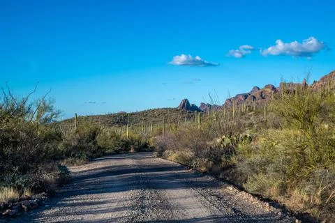 A long way down the road going to Organ Pipe Cactus NM, Arizona Stock Photos