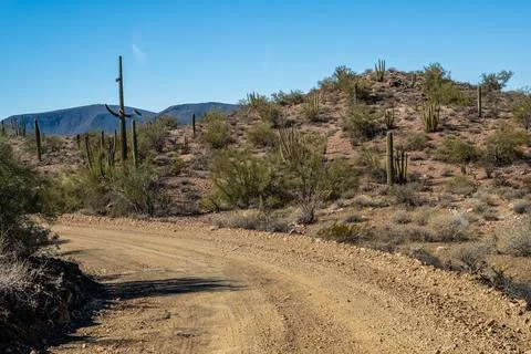 A long way down the road going to Organ Pipe Cactus NM, Arizona Stock Photos