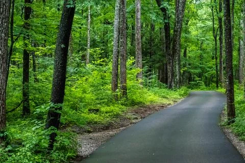 A long way down the road going to Great Smokey Mountains NP, Tennessee Stock Photos