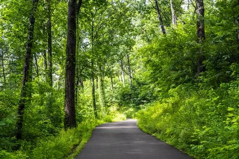 A long way down the road going to Great Smokey Mountains NP, Tennessee Stock Photos
