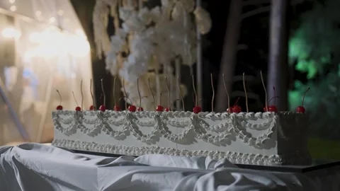 The long wedding cake is ready for guests to cut Video stock 329249086