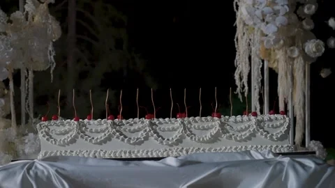 The long wedding cake is ready for guests to cut Stock Footage 329249101