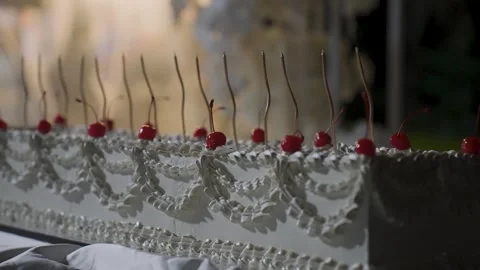 The long wedding cake is ready for guests to cut Video stock 329249118
