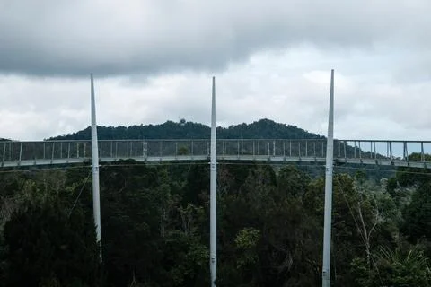 Long white bridge spans lush green forest Stock Photos