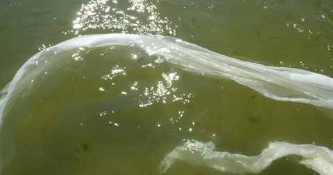 Long white strips of fabric flutter in the muddy green water 스톡 동영상 145922797