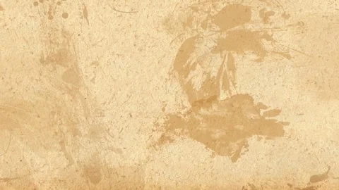 Long wide panoramic background texture, sheet of grunge paper. Stock Footage 249957031