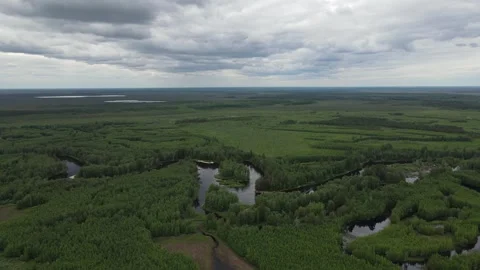 Long winding river between the forest and bog in siberia Stock Footage 302109279