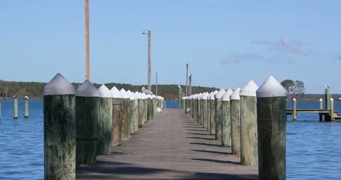 Long Wooden Pier over River with Seagulls Vídeo Stock 119002553