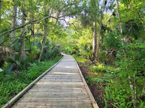 Long Wooden Walking Path Through a Wilderness Park in Florida Stock Photos