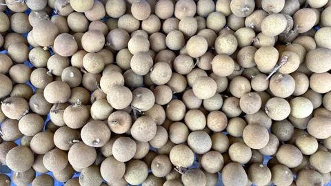 Longan fruit as background Stock Photos
