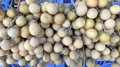 Longan fruit as background Stock-Fotos