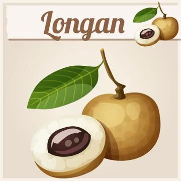 Longan fruit. Cartoon vector icon Stock Illustration