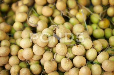 Longan fruit on the counter of the asian market Stock Photos