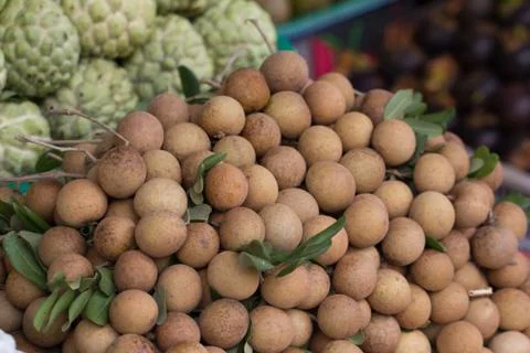 Longan fruit heap closeup Stock Photos