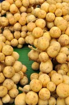 Longan fruit 스톡 사진