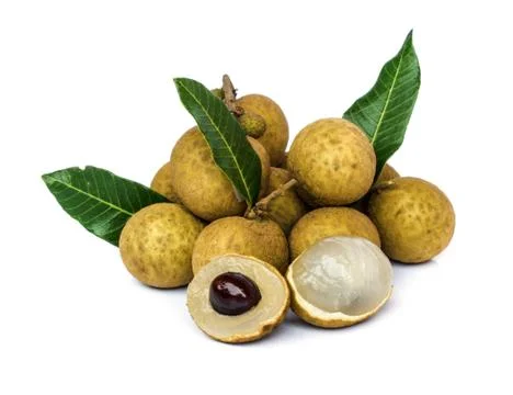 Longan  fruit . Photos