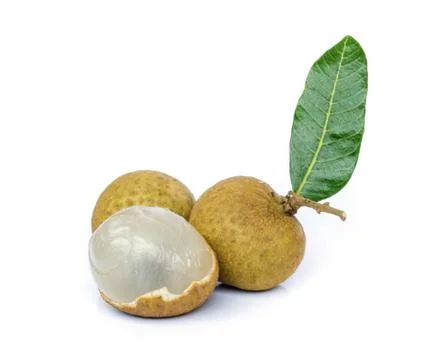 Longan  fruit . Stock Photos