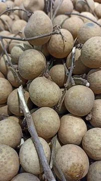 Longan fruit Stock Photos