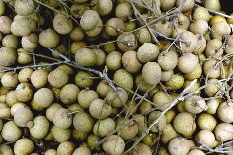 Longan fruit Stock Photos