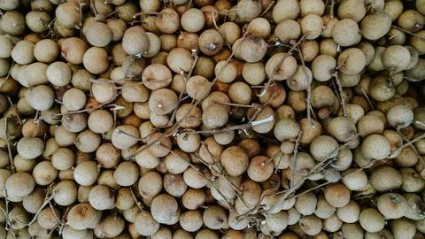 Longan Fruit Stock-Fotos