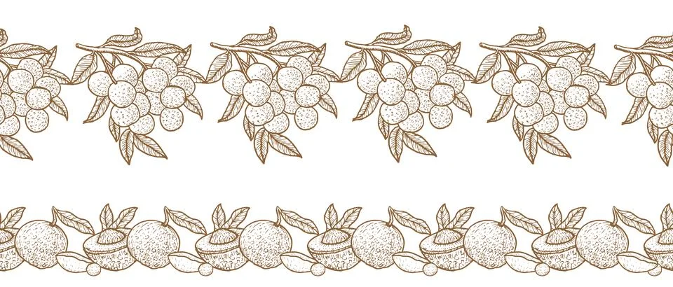 Longan fruit seamless border template for food packaging, textile, wrapping Stock Illustration