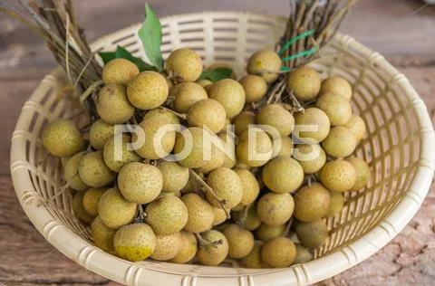 Longan fruits Stock Photos