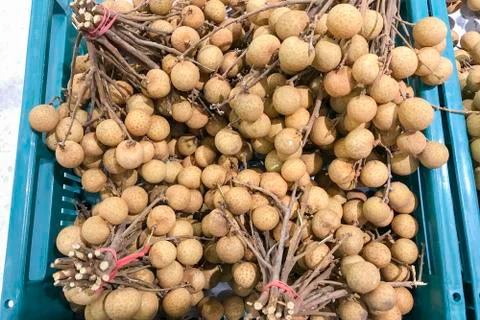Longan in green container Stock Photos