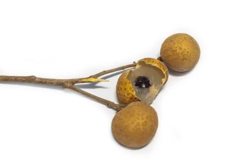 Longan isolated on a white background Foto stock