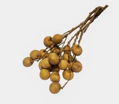 Longan isolated in white background Foto stock