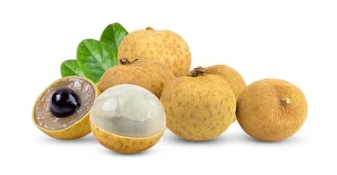 Longan  with leaf isolated on white Stock Photos